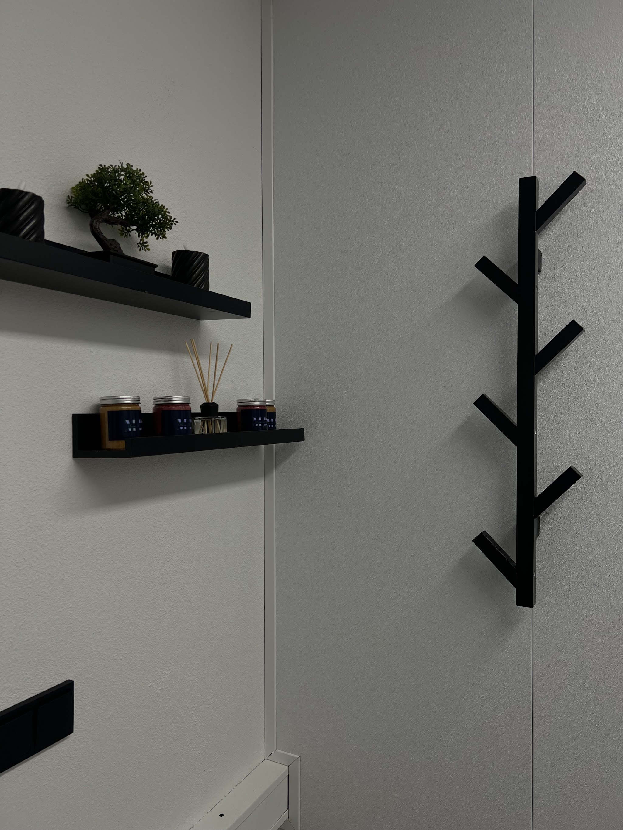 Wandplanken met wax, een bonsai en een zwarte kapstok in de vorm van een tak